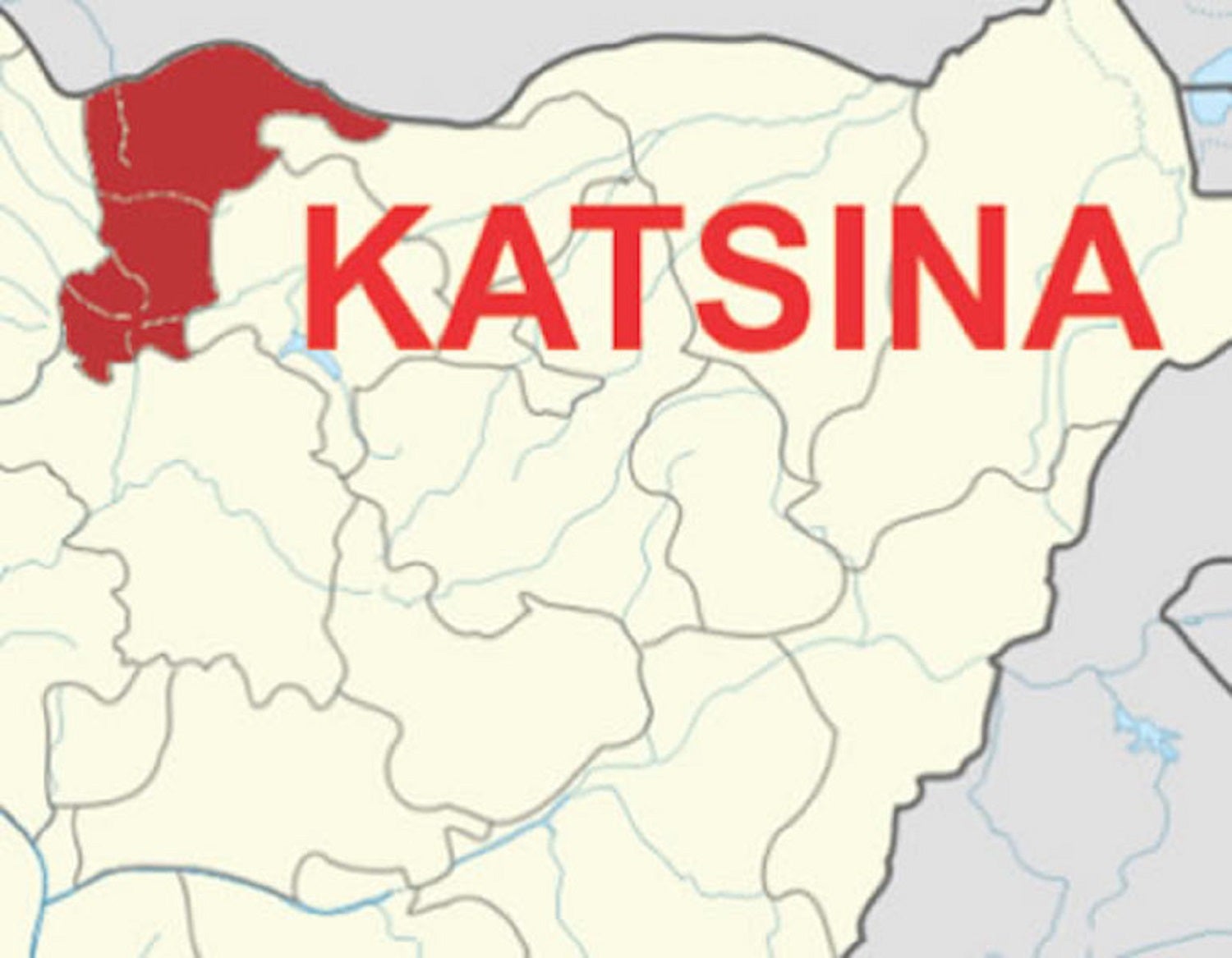 Katsina state Govt. to reintroduce development levy, cattle tax – Official