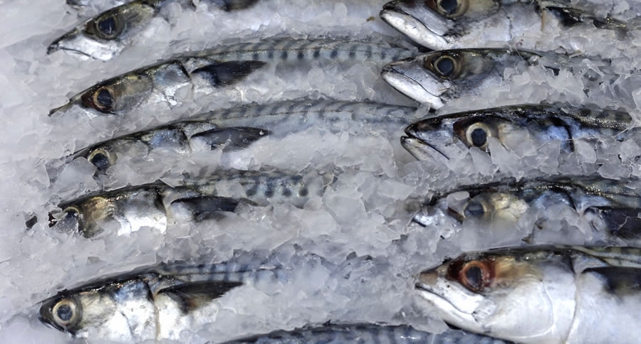 Nigeria may ban fish importation by 2022- FG