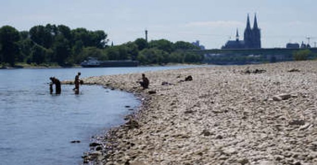 Mother drowns trying to save son in Germany’s Rhine River
