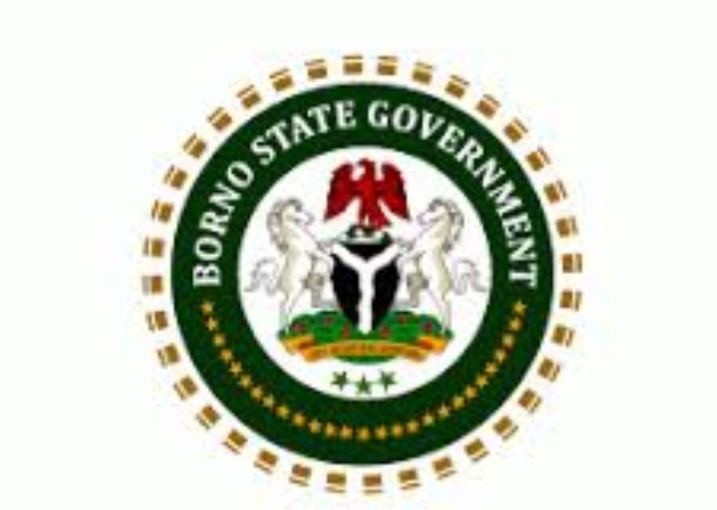 Borno Govt evolves 25-year development plan