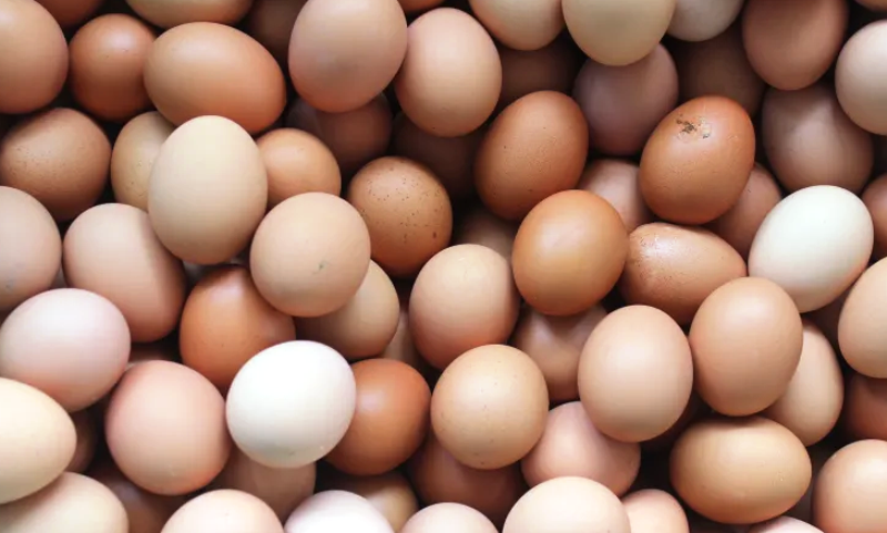 World Egg Day: Group urges older persons to eat eggs to avoid sarcopenia