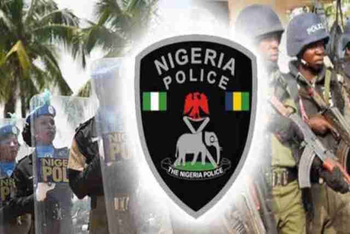 Police arrest 14 kidnap suspects, rescue victim in Jigawa