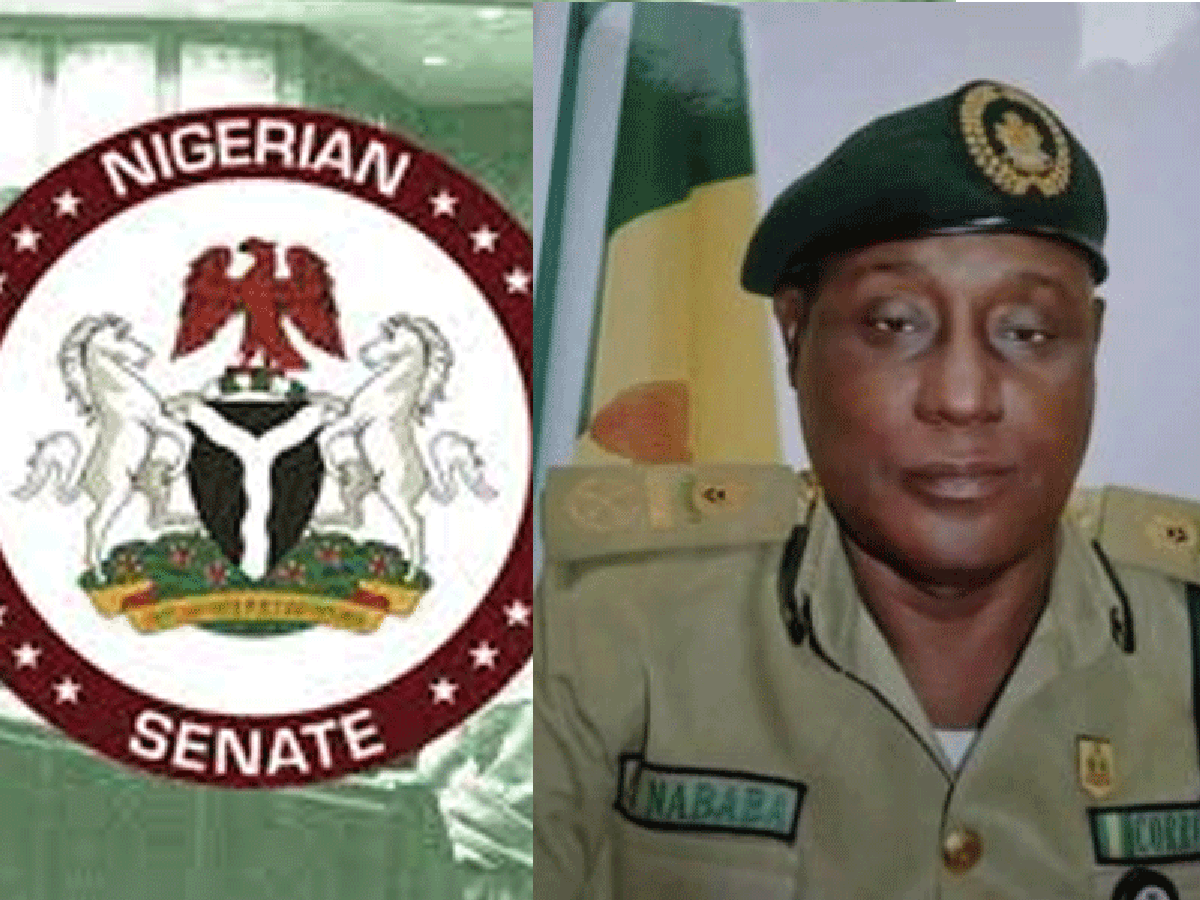 Senate confirms Haliru Nababa as CG Nigeria Correctional Service