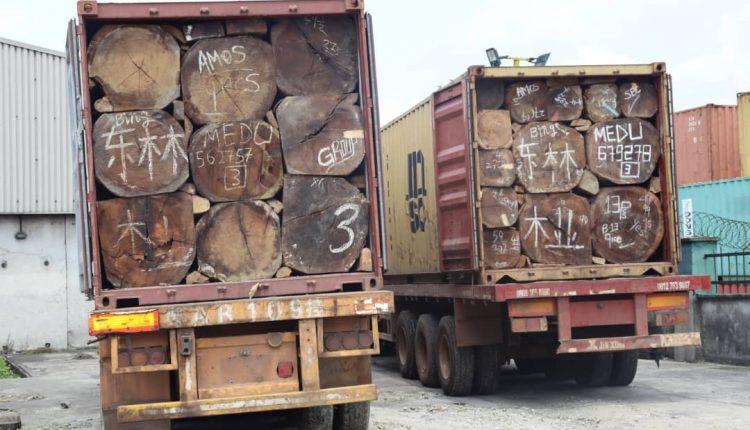 UNPROCESSED TIMBER: Customs intercepts 6 containers, arrests 2 in Rivers