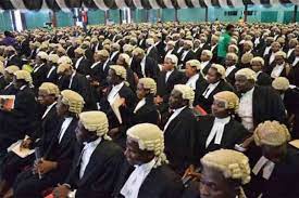 Lawyers charged to maximise potentials in corporate ecosystem