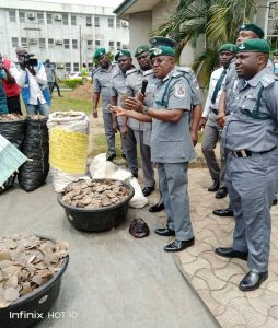 NCS intercepts 1,014.5kg of pangolin scales worth N1.7bn in Lagos