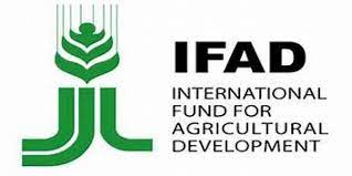 FG, IFAD-VCDP to give $1m grant to vulnerable farmers