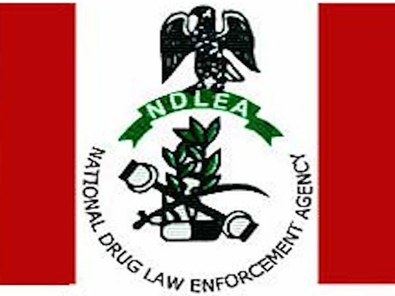 NDLEA destroys 21 tonnes of drugs in Niger