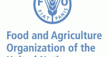 Lagos, FAO, UNIDO plan N1.69bn investment to boost coconut production
