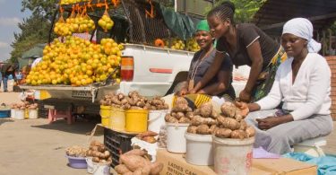 West Africa food economy to reach $480 bn by 2030- UN