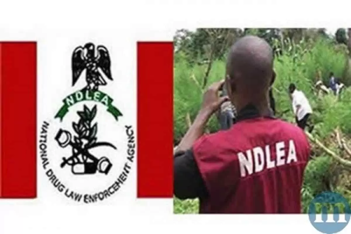 Again, NDLEA sets ablaze 1.8 tons of cocaine in Lagos