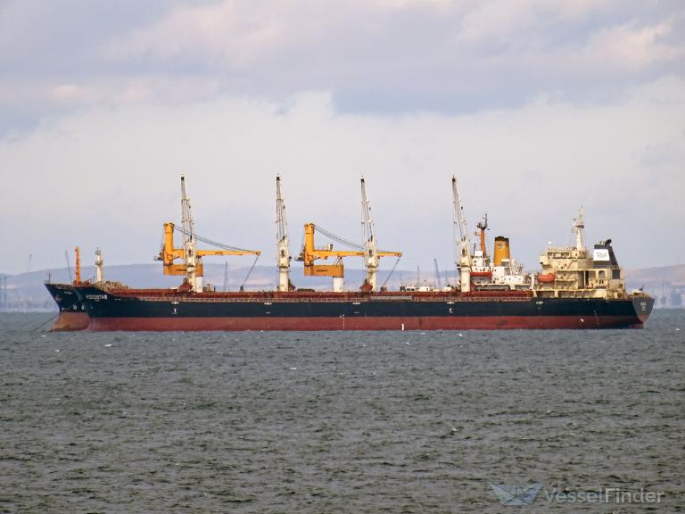 Euphoria, as Yong Jin berths in Calabar Port with 11,800MT General Cargo