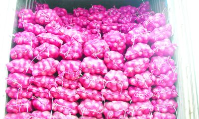 We rake in millions of Naira from onion cultivation – Farmers