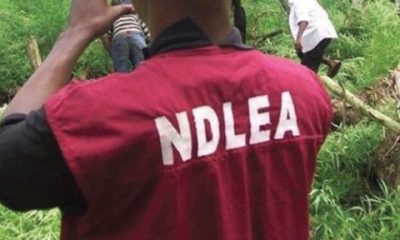 NDLEA arrests India-bound businessman with 9.40kg heroin in Lagos