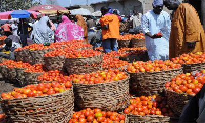 Editor's Pick: Workers, Traders Dread Looming Christmas Over Soaring Prices of Food items