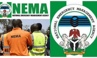 NEMA receives another batch of 266 stranded Nigerians from Niger Republic