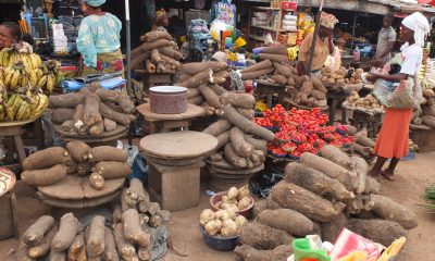 NAIRA SCARCITY: Businesses crumble in Kaduna, as foodstuff prices drop in Daura