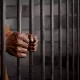Lawyer bags 7-year imprisonment for alleged N1.1bn fraud