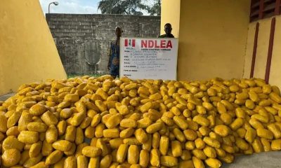 NDLEA Intercepts 66 Parcels Of Illicit Drugs At Lagos Airport