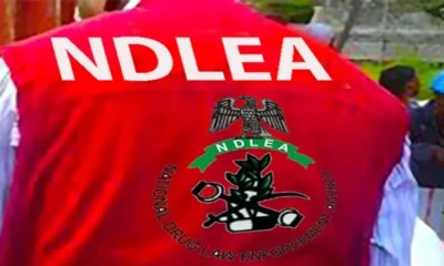 Suspected Drug Barons Attack NDLEA Operatives, Soldiers In Edo