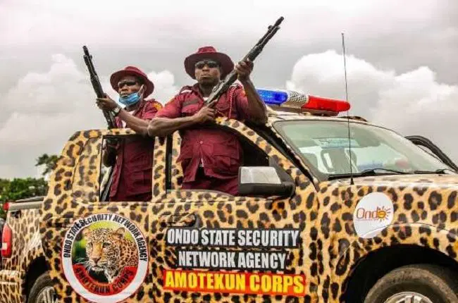 We’re Now After Criminal Godfathers In Ondo – Amotekun