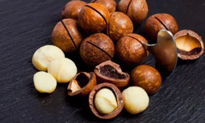 Shea Export Ban To Boost Local Supply– Bello